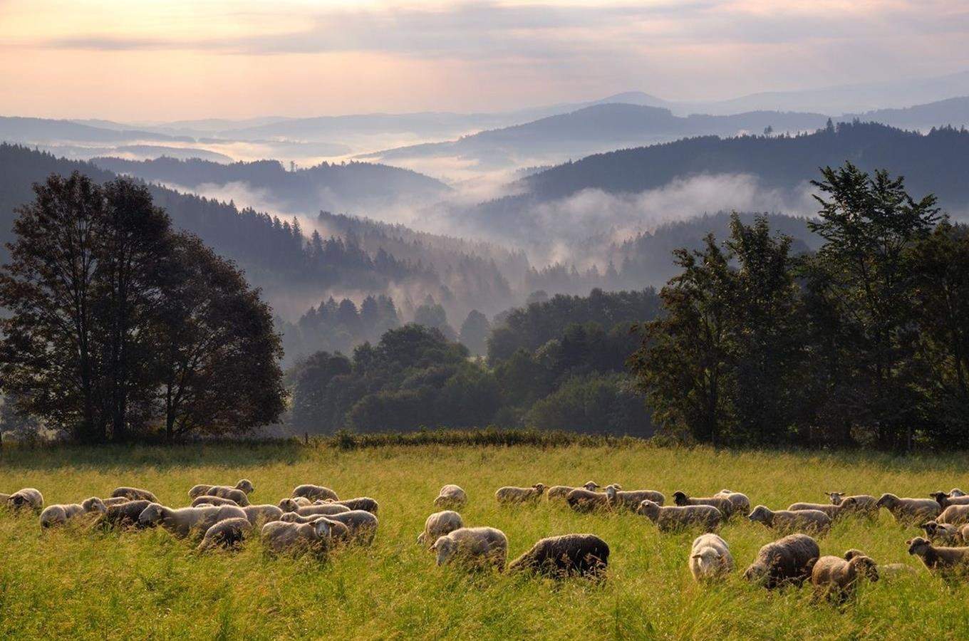 Šumava v plné své kráse