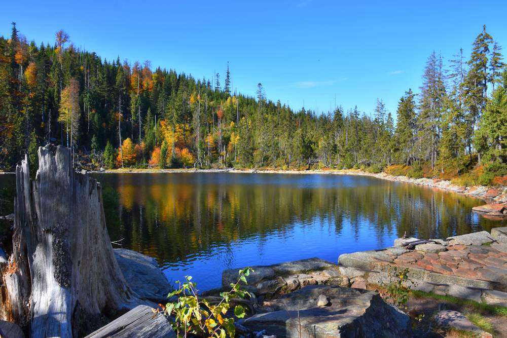 Prášilské jezero